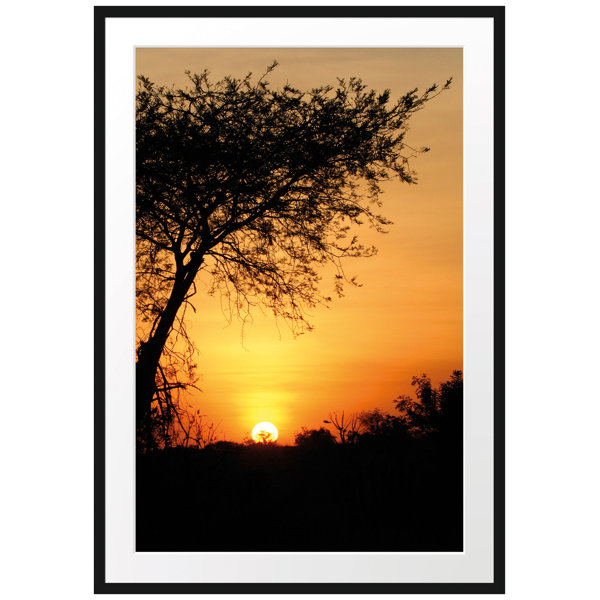 East Urban Home Gerahmtes Poster Dämmerung in Savanne | Wayfair.de